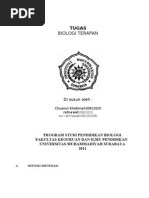 Download bioterapan kelompok q by Putry Akhmad SN77242584 doc pdf