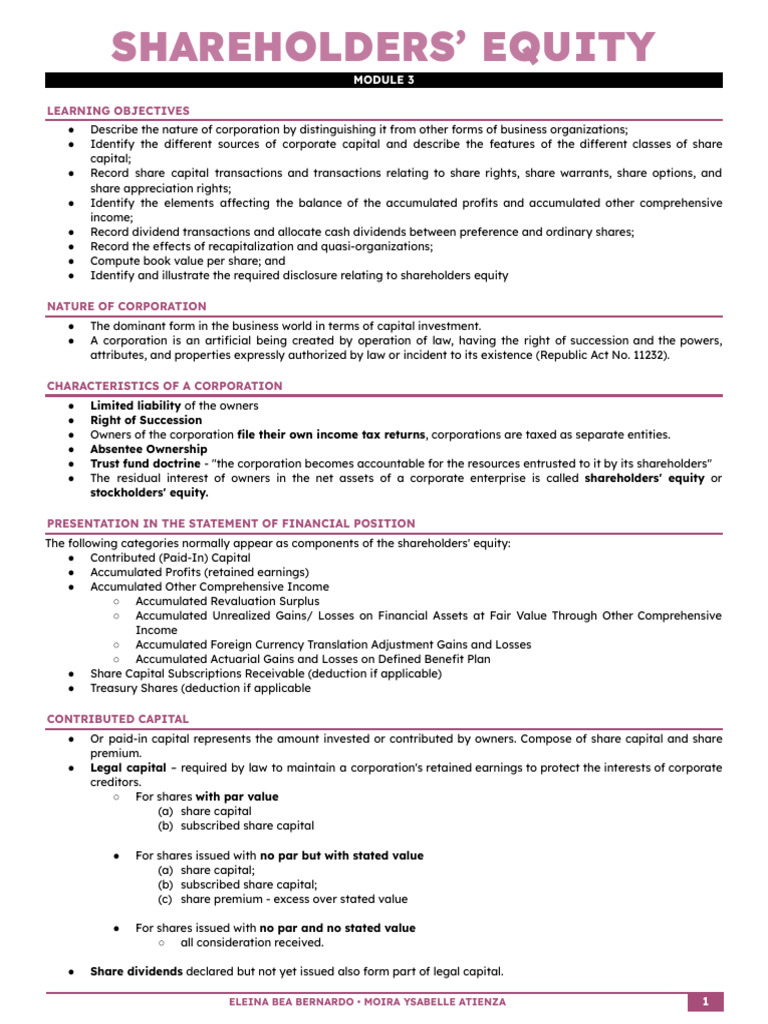 Module 3 Shareholders Equity Pdf