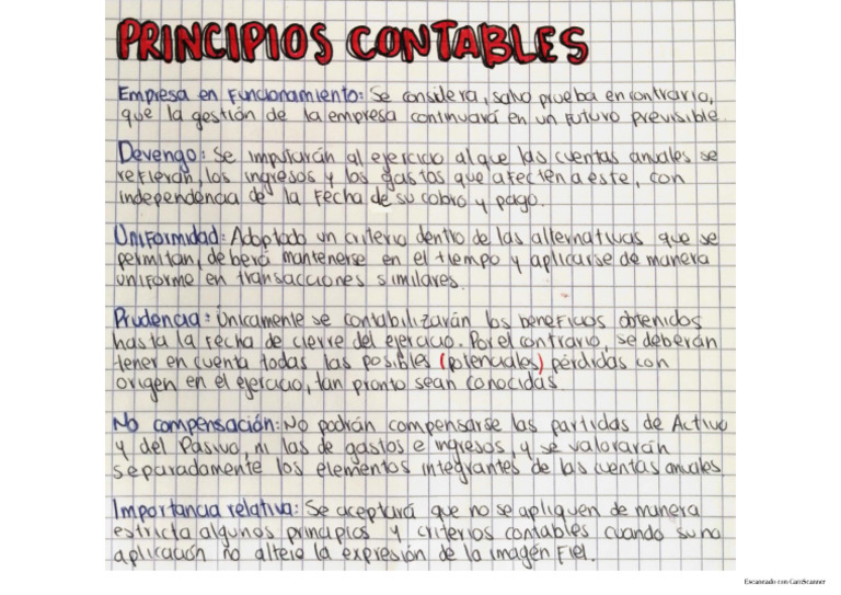 Principios Contables | PDF