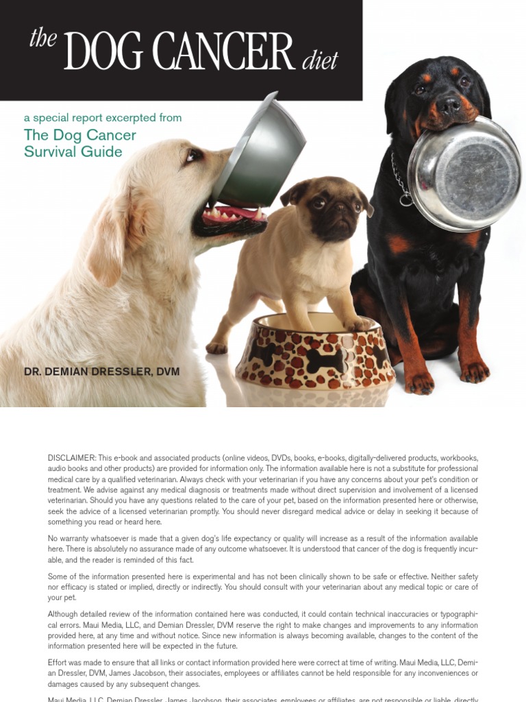 Dog Cancer Diet | PDF | Dog Food | Carcinogen