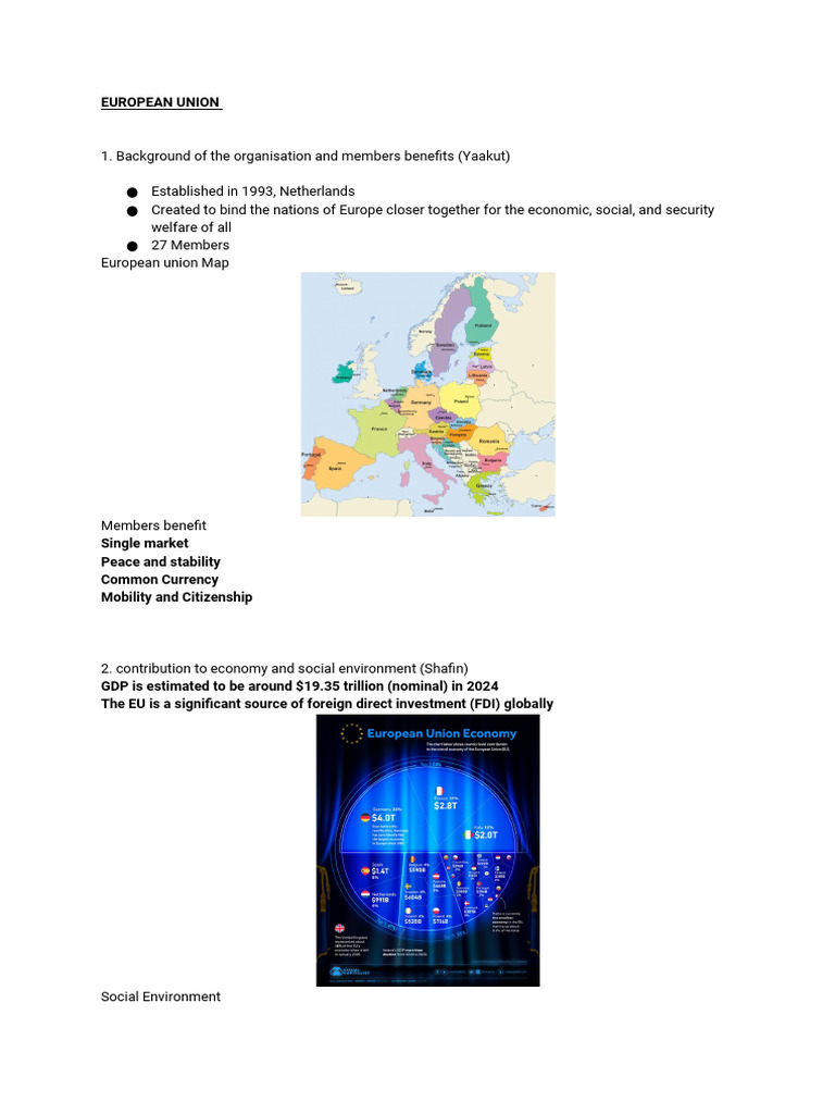 BUS301 Assignment 01 | PDF