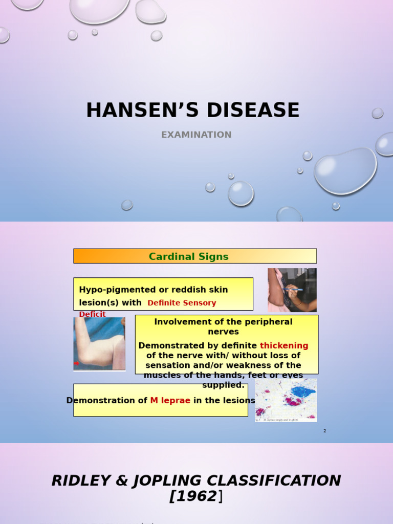 Hansens Examination Final | PDF