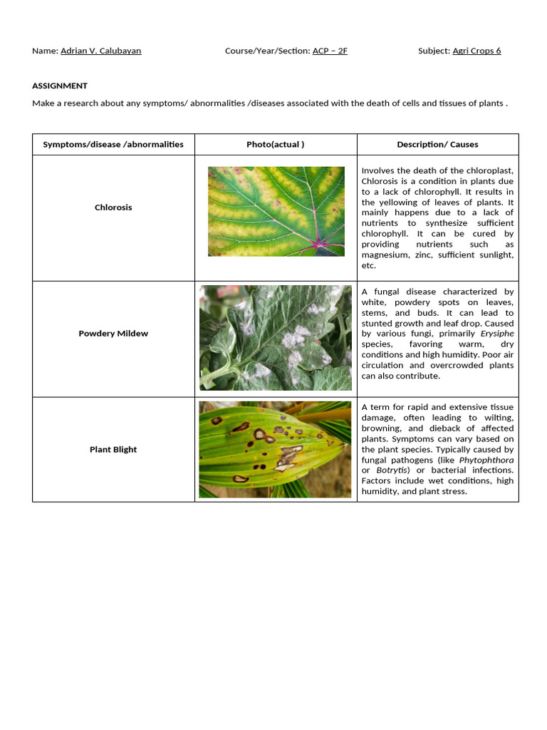 Assignment Ac 6 | PDF