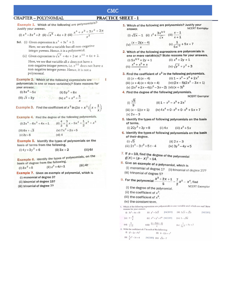 Polynomeals - 2 | PDF