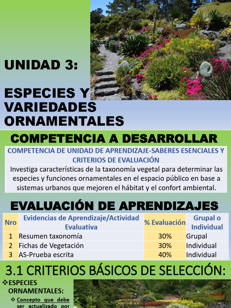 03 Especies y Variedades Ornamentales | PDF