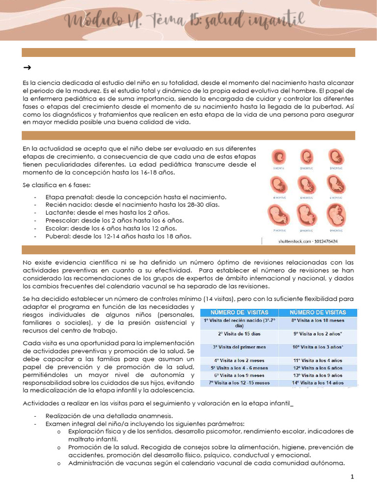 Módulo VI | PDF