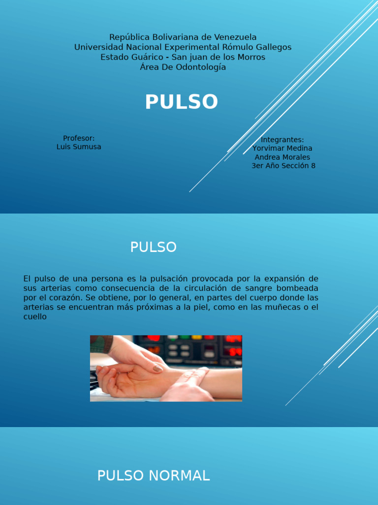 Pulso 1 | PDF
