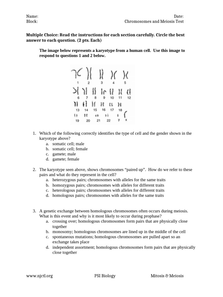 Meiosis Take Home Test | PDF