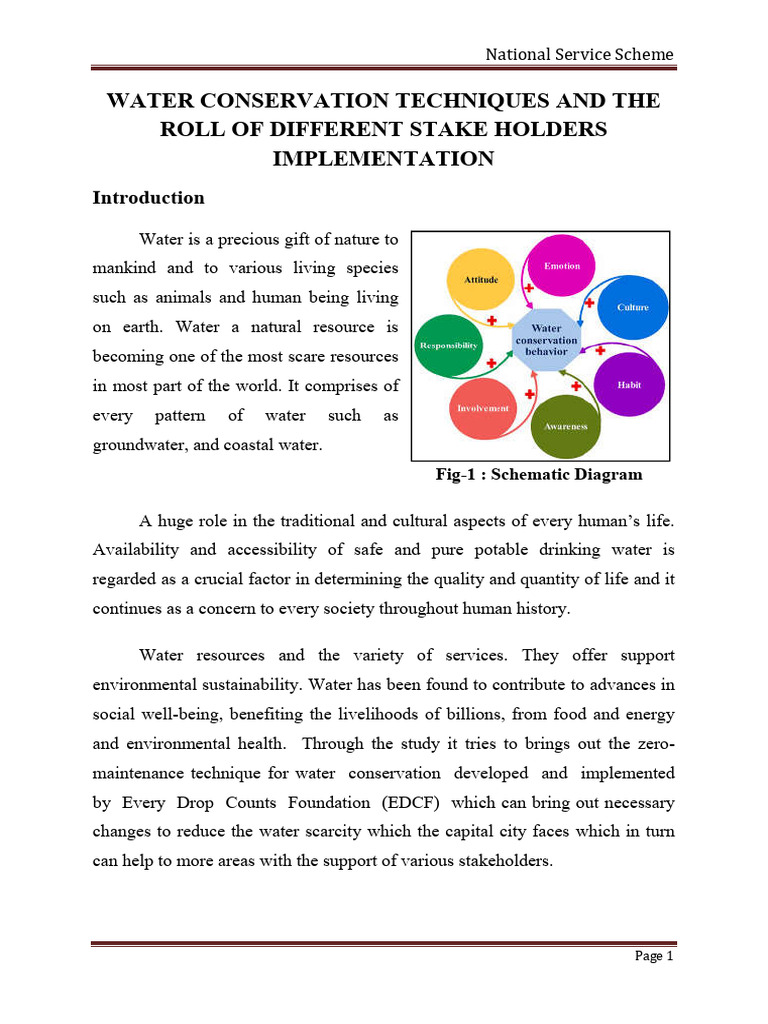 NSS Report | PDF
