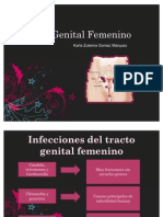 TGFemenino