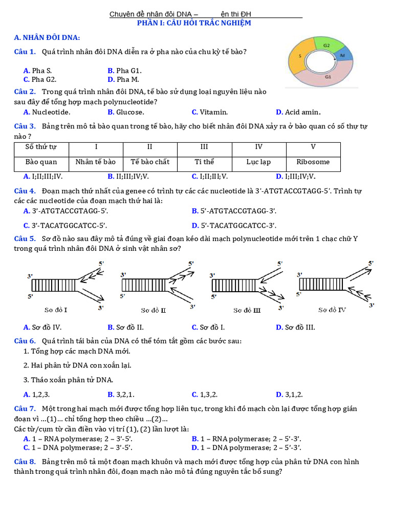 TN Nhân Đôi DNA | PDF