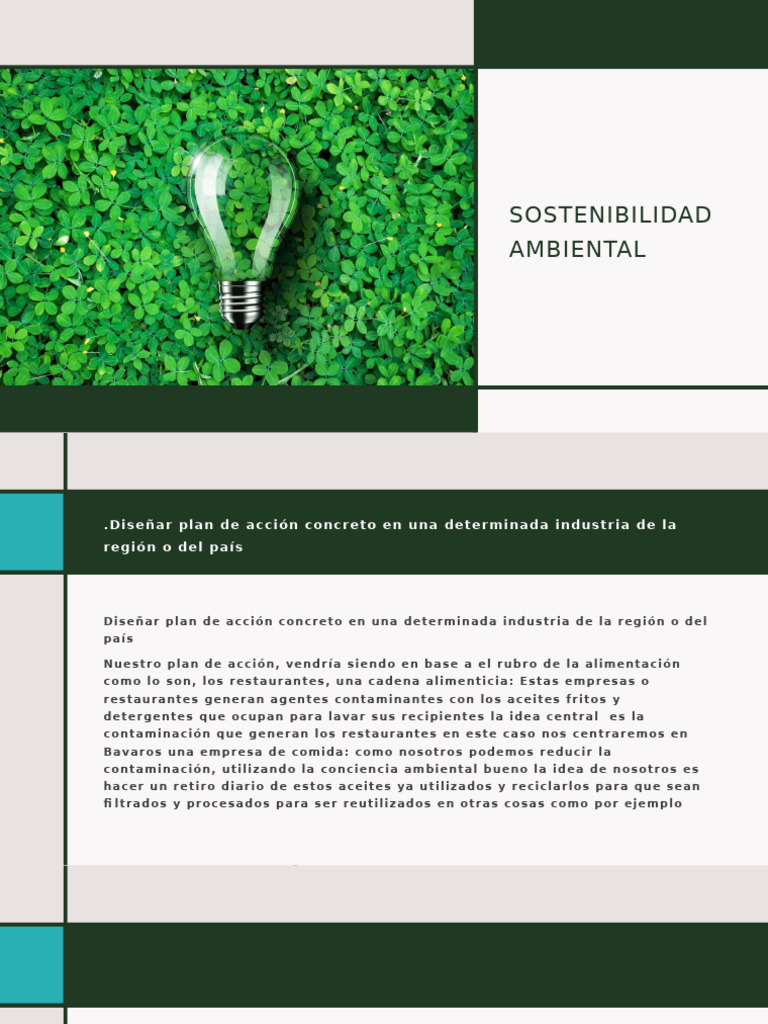 Sostenibilidad Ambiental | PDF | Petróleo | Estilo de vida