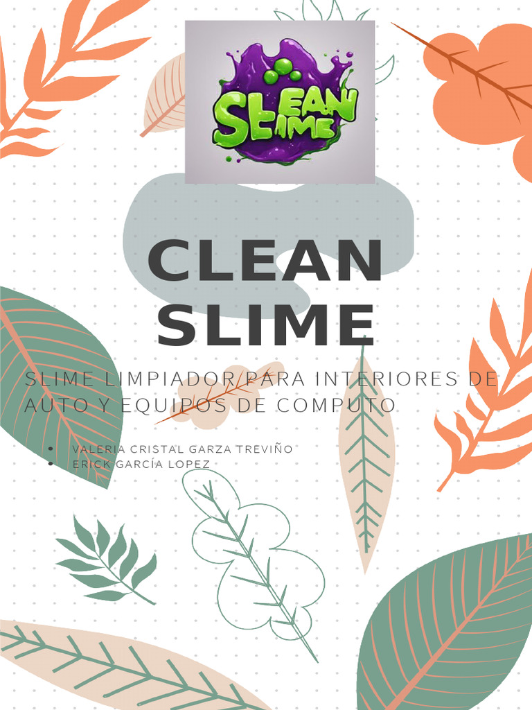 Clean Slime | PDF | Syntax | Business