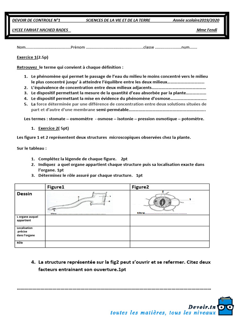 Devoir de Contrôle N°1 2019 2020 (Lycee Farhat Hached Rades) | PDF