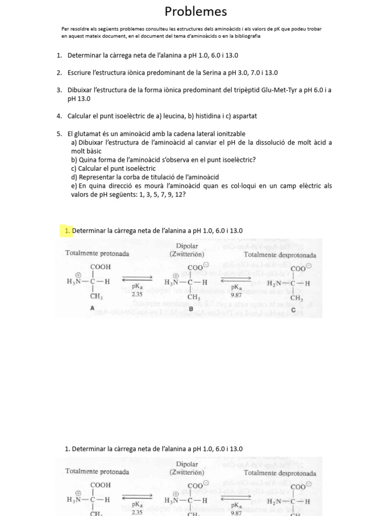 Problemas Resueltos - Pas A Pas | PDF