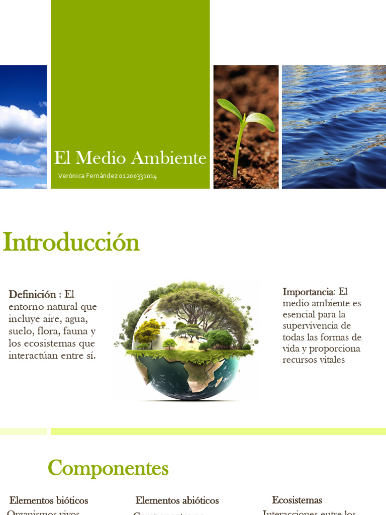 El Medio Ambiente | PDF | Entorno natural | Contaminación