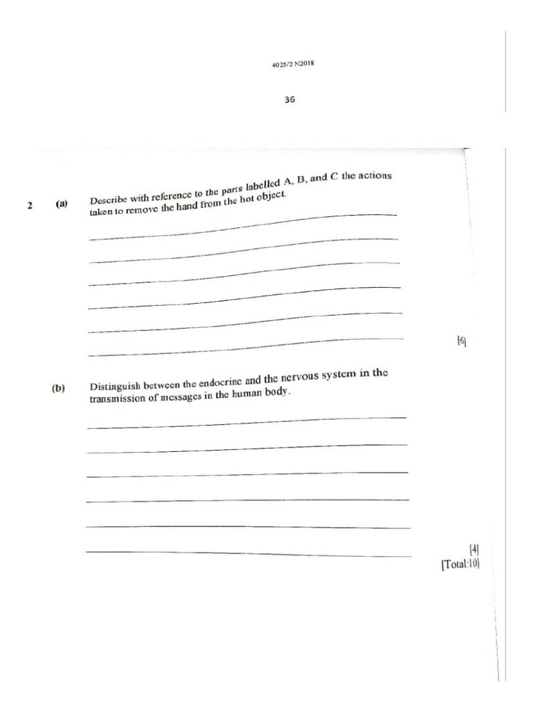 Biology 16 | PDF