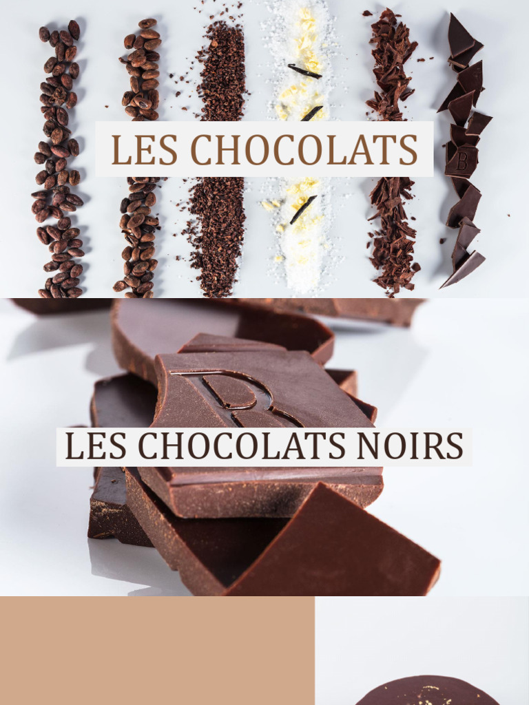les-chocolats-guide-du-chocolat-pdf