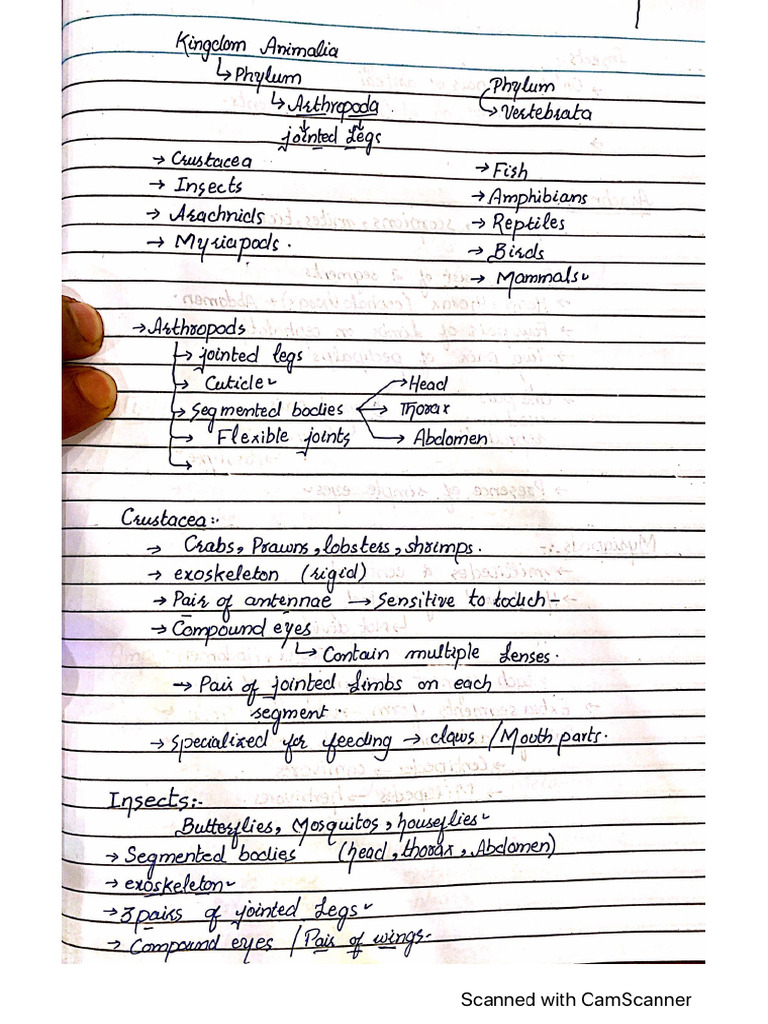 Classification notes pdf