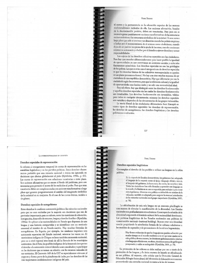 Dpc Tubino (1) | PDF