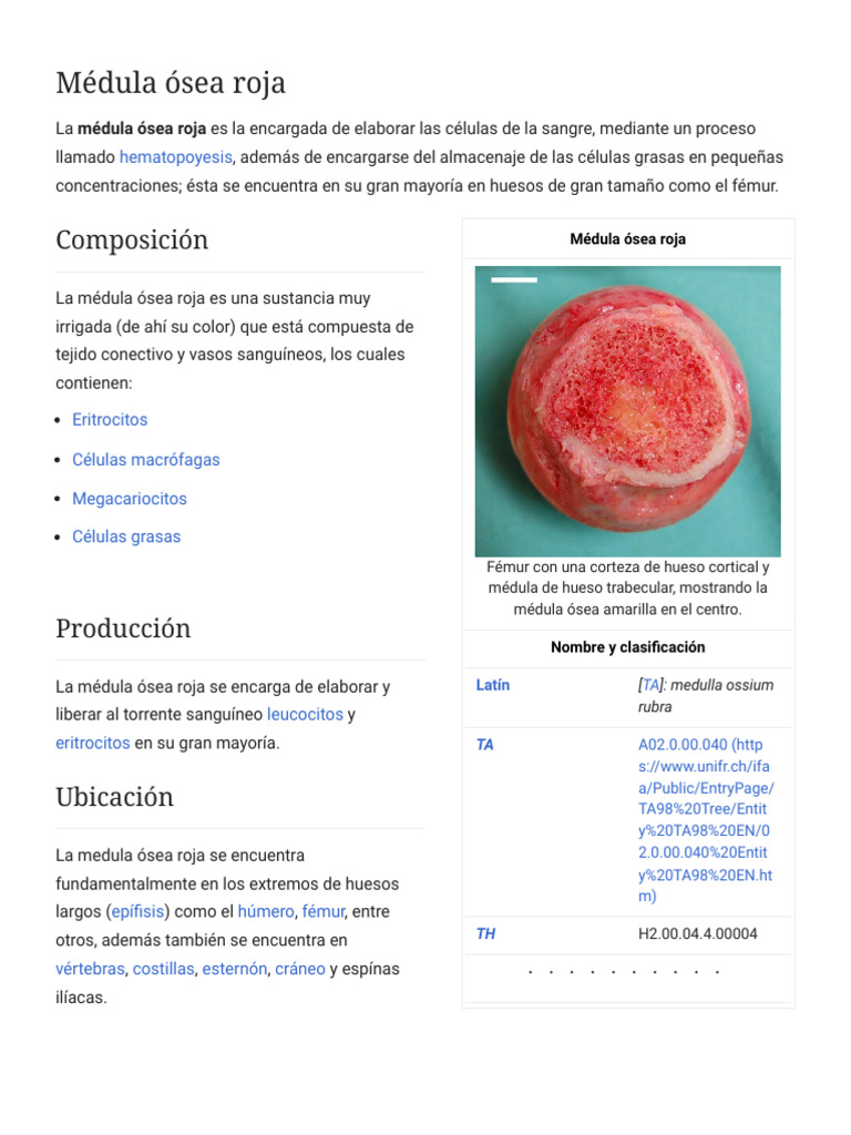 m-dula-sea-roja-wikipedia-la-enciclopedia-libre-pdf
