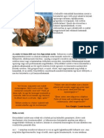 A prosztatarák sebészi kezelése - PDF Free Download