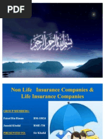 Non Life Insurance Companies &amp; Life Insurance Companies