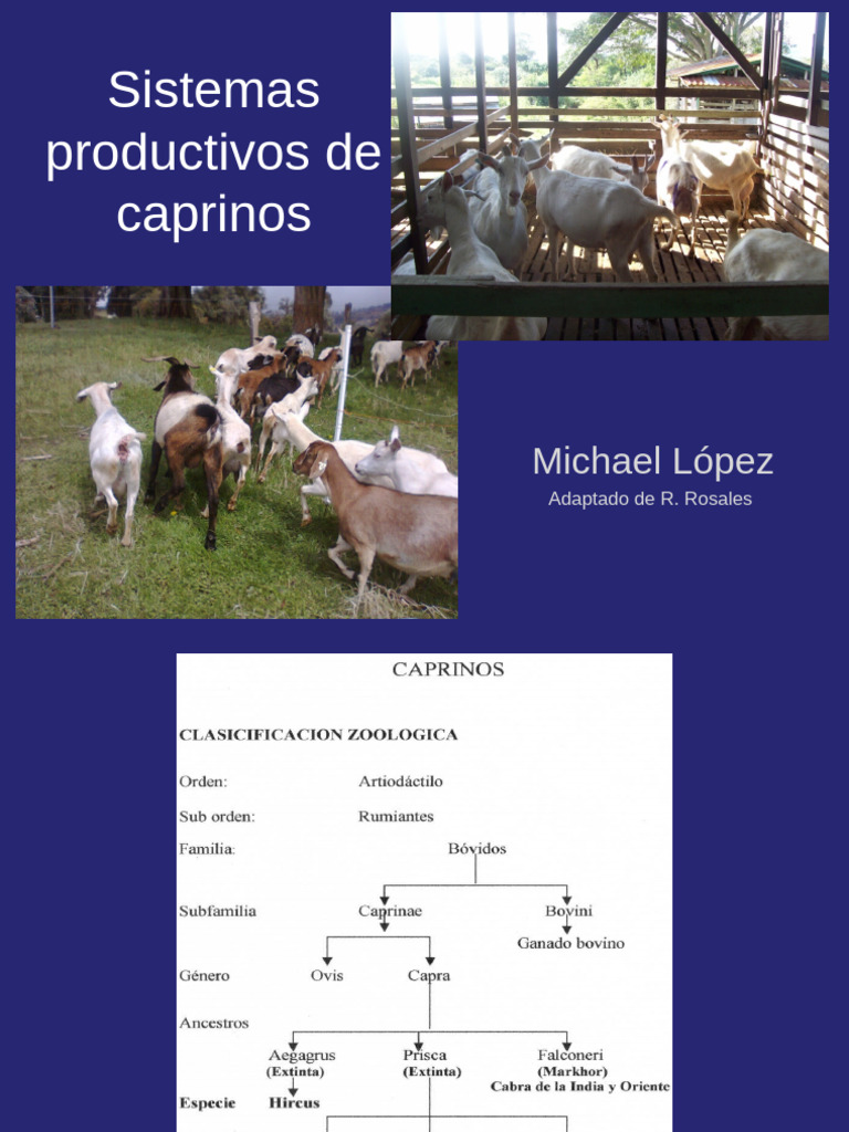 Ganado Caprino | PDF