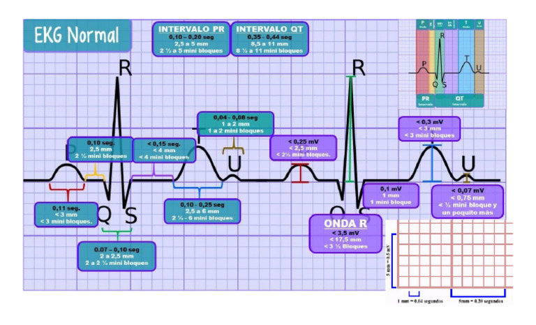 Micc 1 | PDF