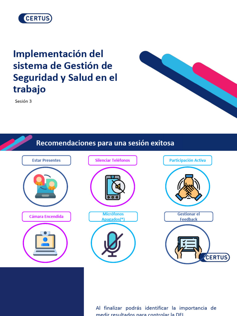 Plan Anual de SST - Peip | PDF