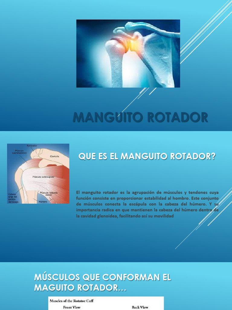 Manguito Rotador | PDF