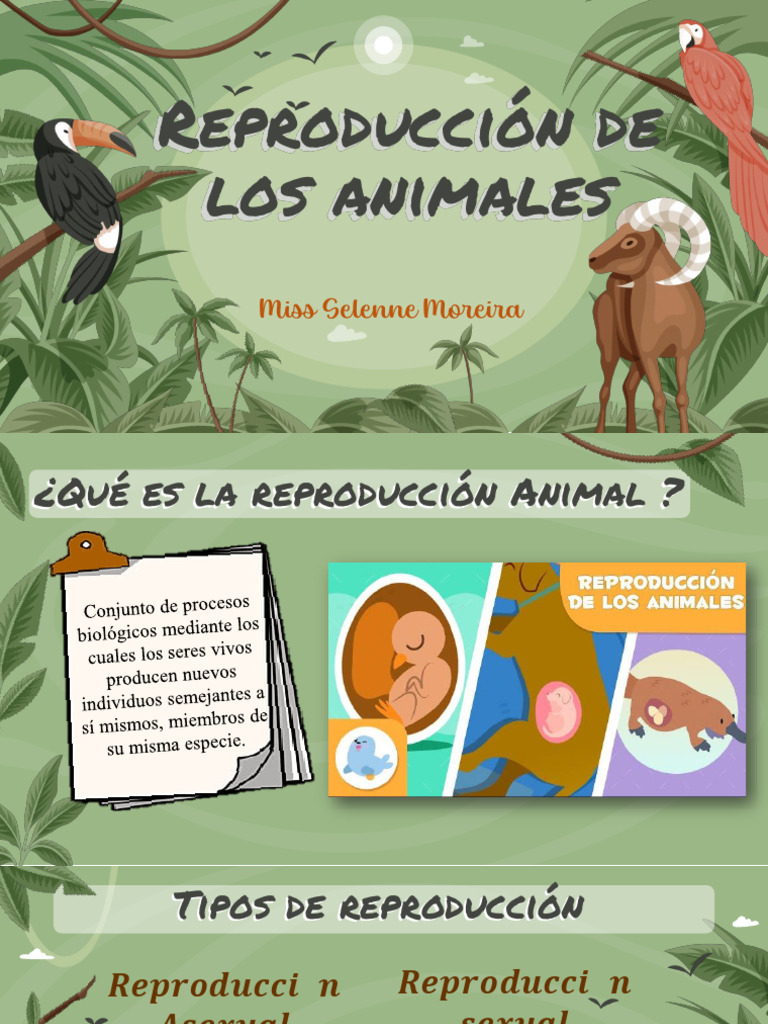 Clasificación Sexual y Asexual de Los Animales | PDF