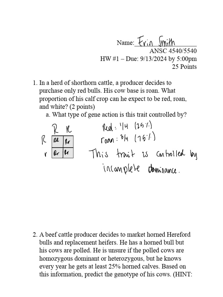 Explain Animal Breeding