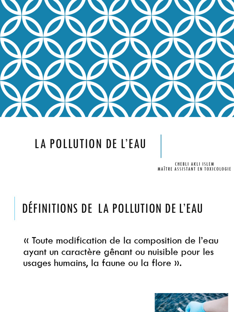 La Pollution de L'eau Et Du Sol Chebli | PDF
