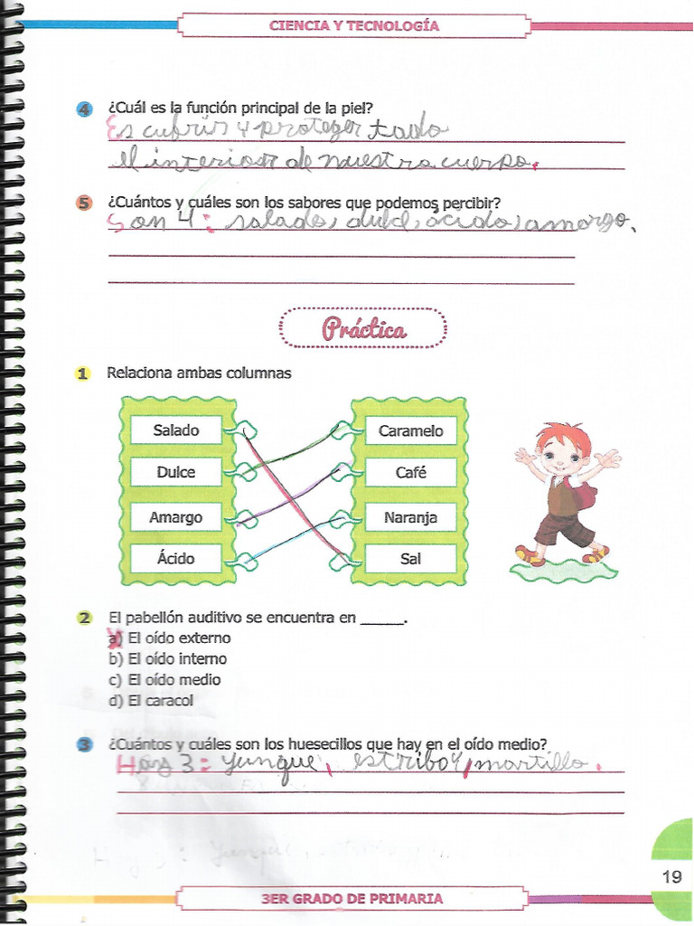 Oido Gusto Y Tacto 2 Pdf