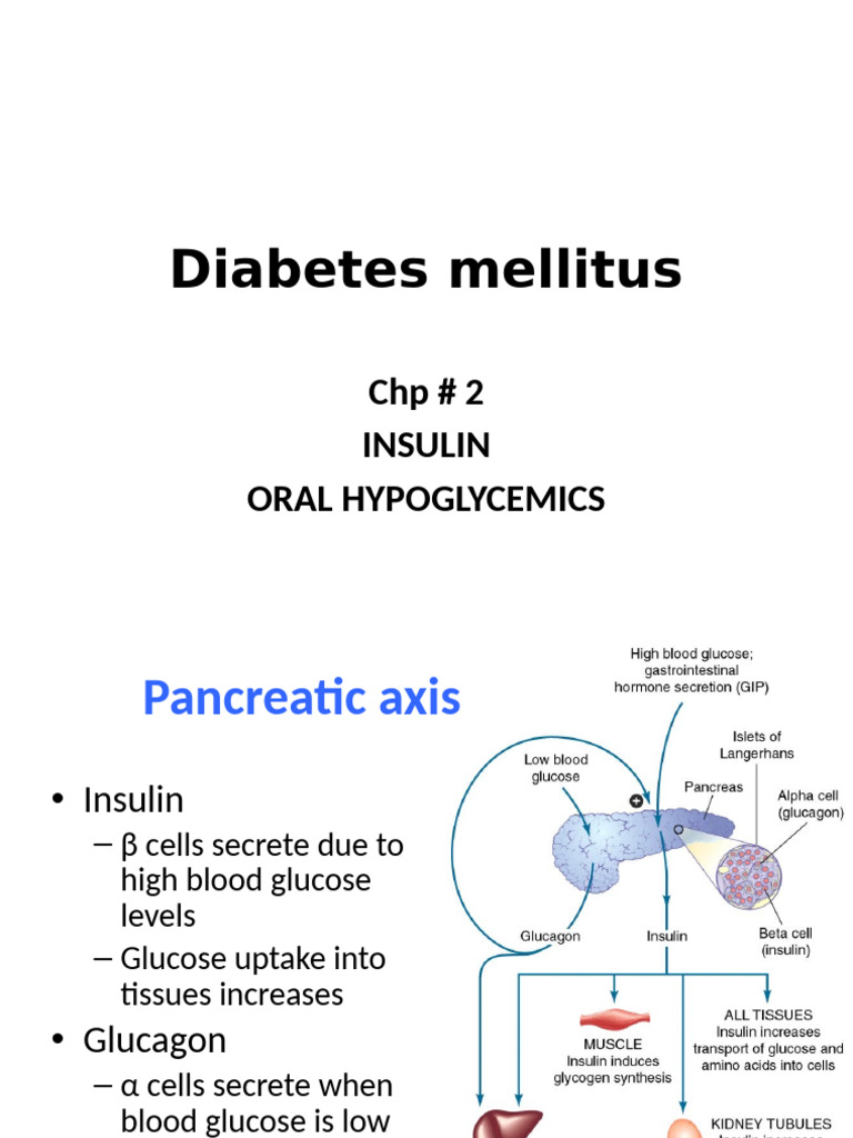 Diebetes Mellitus, Insulin, OrAL HYPOglycemics Final | PDF
