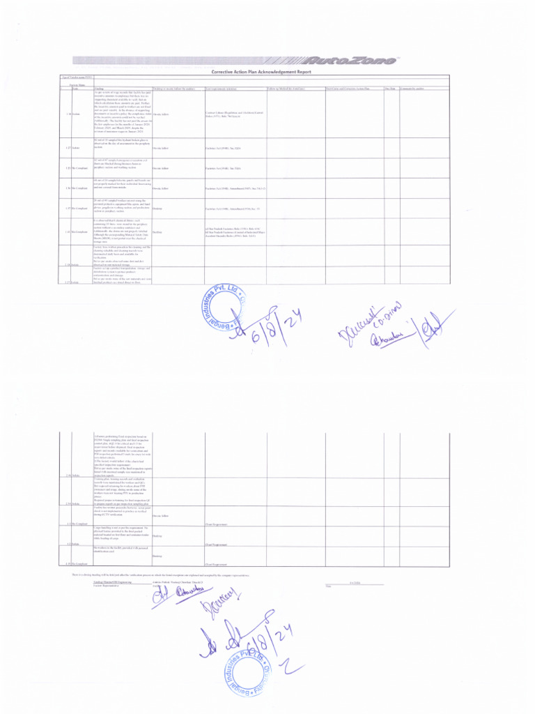 Corrective action plan pdf