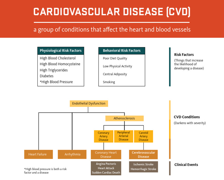 Cardiovascular Disease Pdf