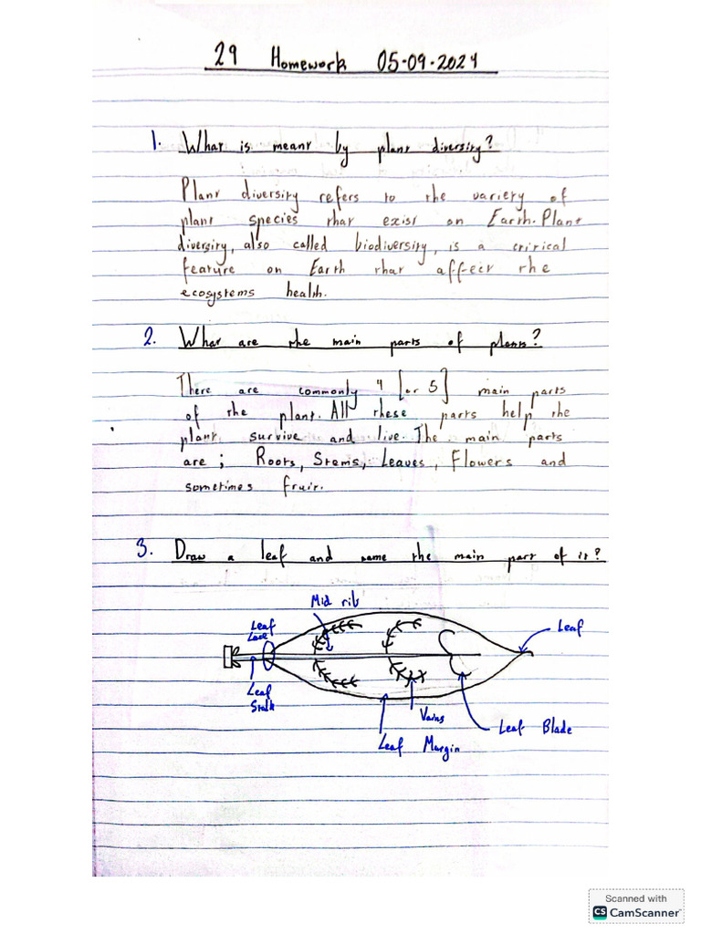 Homework SCIENCE - 12-09-2024 | PDF