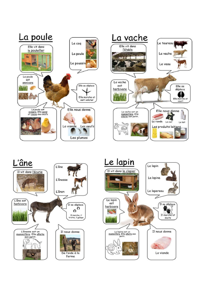 projet ANIMAUX DE LA FERME | PDF