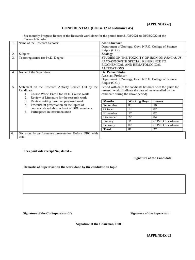 Progress Report Format | PDF