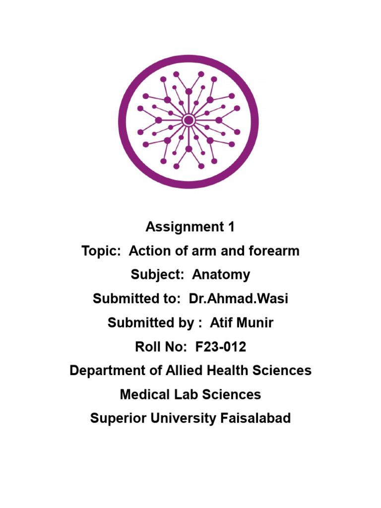 Assignment Anatomy..Atif Munir | PDF