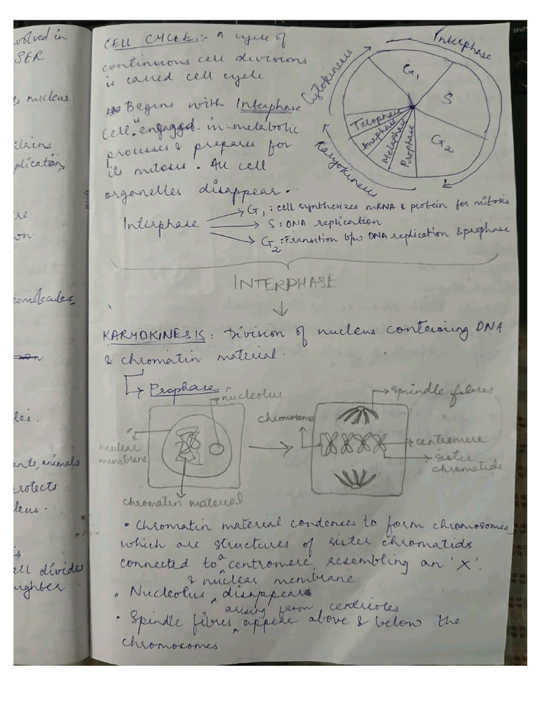 Bio 4 | PDF