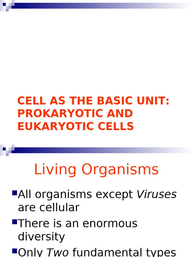Prokaryotic and Eukaryotic Cells | PDF | Cell (Biology) | Bacteria