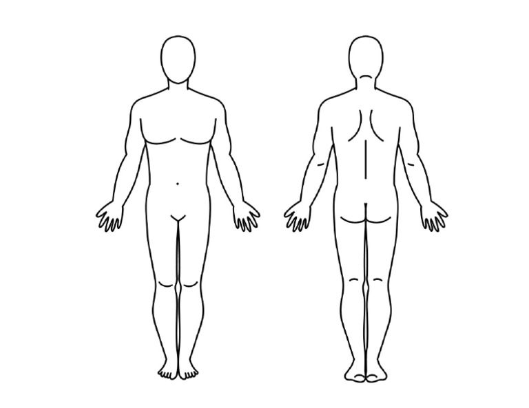 Anatomy Body Chart | PDF