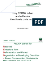 Why REDD+ is bad and will make the climate crisis worse