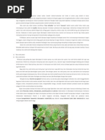 Download HERBA TEMPATAN by Starz Aquarius SN77297269 doc pdf