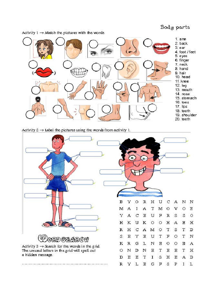 Body Part | PDF