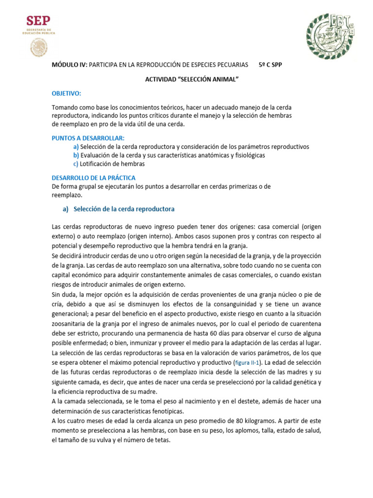 1 2 actividad selecci nporcinos pdf