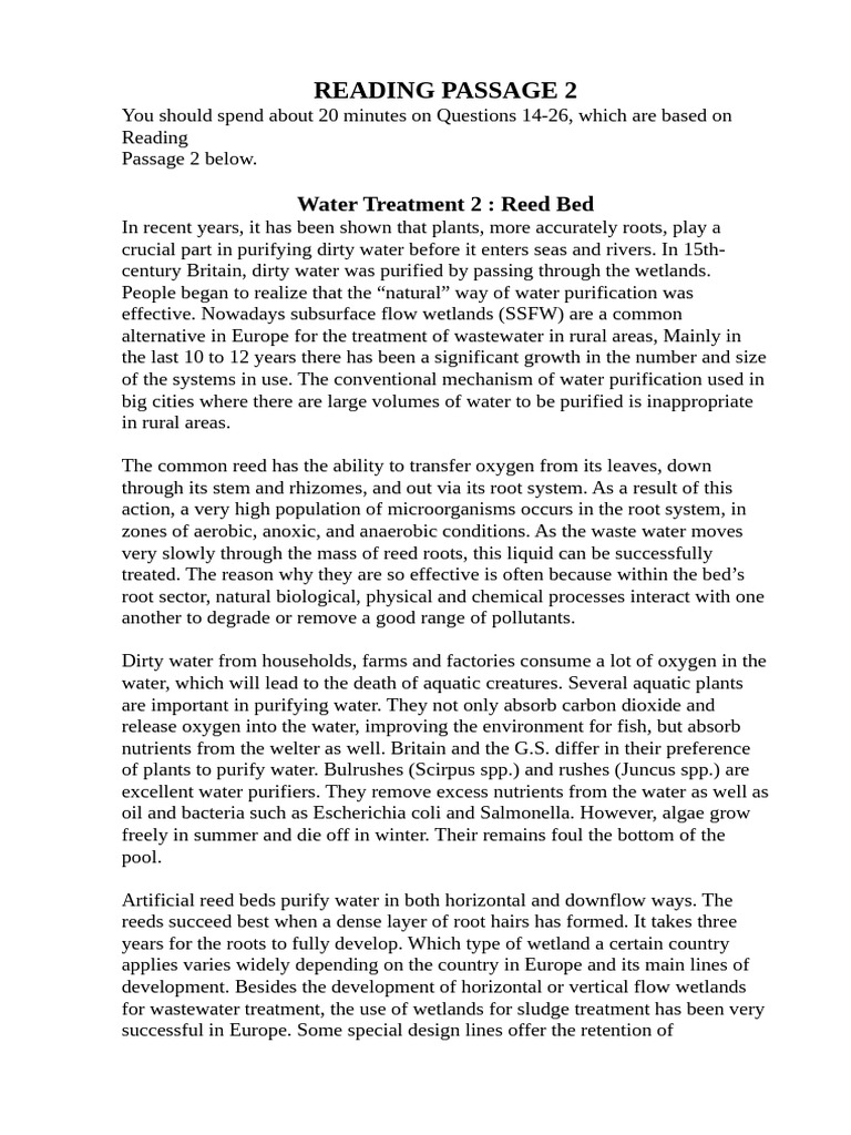 Reading Pass2 | PDF